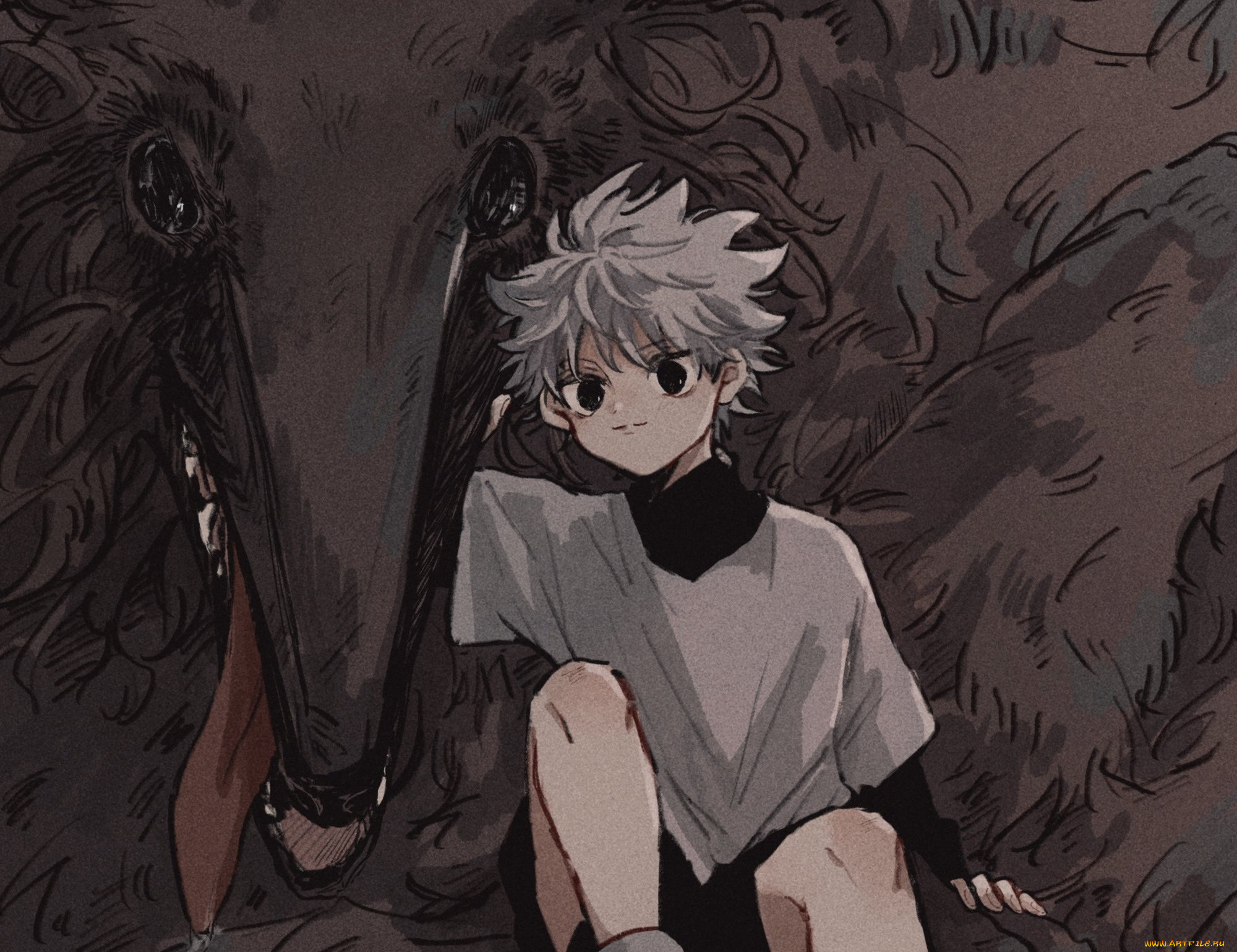 , hunter x hunter, 